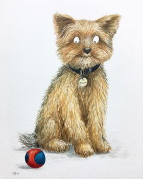 Personalised Pet Portrait Illustration, 7 of 10
