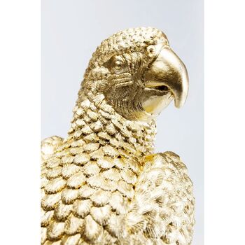 Box Parrot, 5 of 7