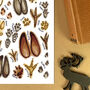 Animal Tracks Of Britain Watercolour Postcard, thumbnail 7 of 11
