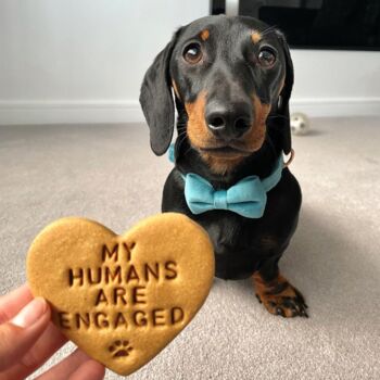 'My Humans Are Engaged' Dog Biscuits Engagement Gift, 6 of 7