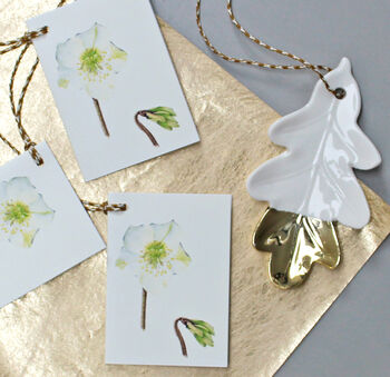 Christmas Gift Tags With Christmas Rose Illustrations, 2 of 4