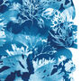 Seaweed Sun Printed Cyanotype Tideline No.Three, thumbnail 4 of 7