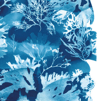 Seaweed Sun Printed Cyanotype Tideline No.Three, 4 of 7