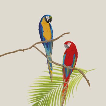 Flamboyant Feathers, Tropical Greeting Card, 2 of 2