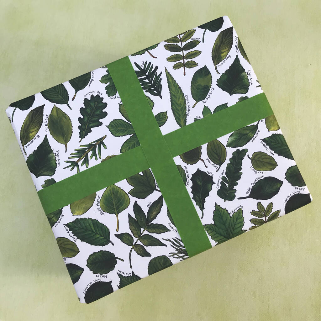 Botanical Leaves Wrapping Paper Set By Alexia Claire