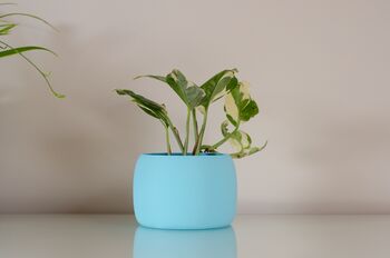 Vibrant Pot For Houseplants, Smooth Curve Design, 5 of 11