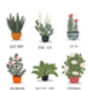 Personalised House Plants Print, thumbnail 2 of 5