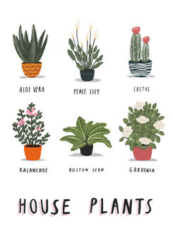 Personalised House Plants Print, 2 of 5