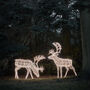 Set Of Two Extra Large Light Up Rattan Reindeer Outdoor Figures, thumbnail 2 of 5