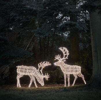 Set Of Two Extra Large Light Up Rattan Reindeer Outdoor Figures, 2 of 5