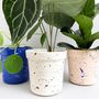 Large Splatter Ceramic Plant Pot, thumbnail 4 of 5