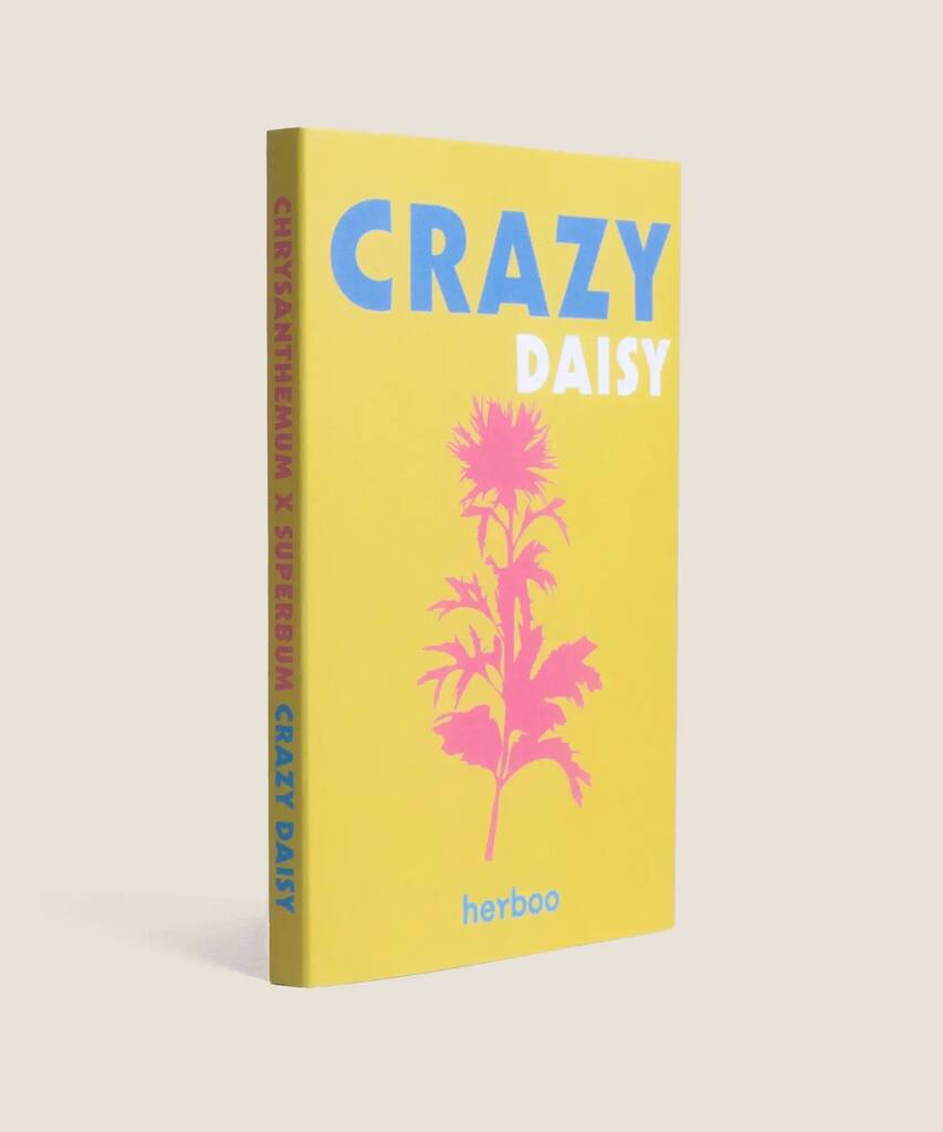 Crazy Daisy Seeds By Heliotique