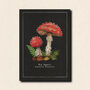 Mushroom Art Postcard Pack, thumbnail 3 of 7