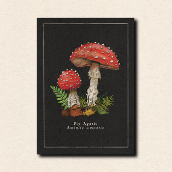 Mushroom Art Postcard Pack, 3 of 7