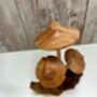 Handmade Wooden Mushroom Ornament Natural Decor And Gift, thumbnail 7 of 10