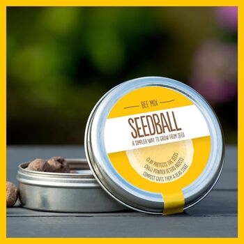 Bee Seedball Wildflower Gift Seed Ball Mix Tin, 8 of 10