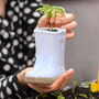 Personalised White Welly Boots Garden Planter, thumbnail 5 of 10