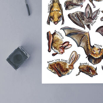 Bats Of Britain Watercolour Postcard, 7 of 8