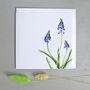 Card With Grape Hyacinth Illustration, thumbnail 1 of 2