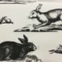 Rabbits Wallpaper, thumbnail 3 of 8