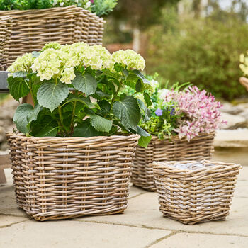 Mitchell Boho Rattan Planter, 4 of 4