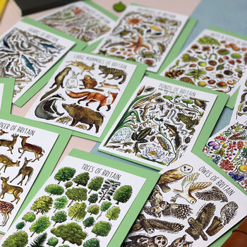Wildlife Of Britain Greeting Cards Pack Volume Two, 6 of 9