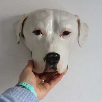 Wall Mounted Pet Head Sculpture, 3 of 9