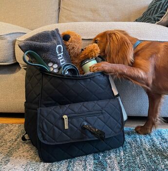 dog weekender backpack