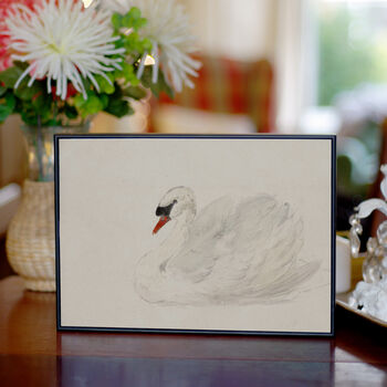 Swan Painting Print, Framed Or Unframed Circa 1700s, 6 of 11
