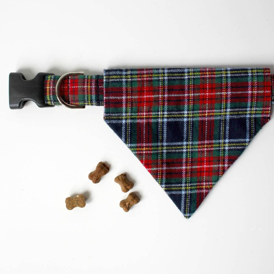 Angus Tartan Dog Bandana By Feathers & Tails