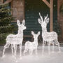 Swinsty Dual LED Plug In Reindeer Family, thumbnail 3 of 7