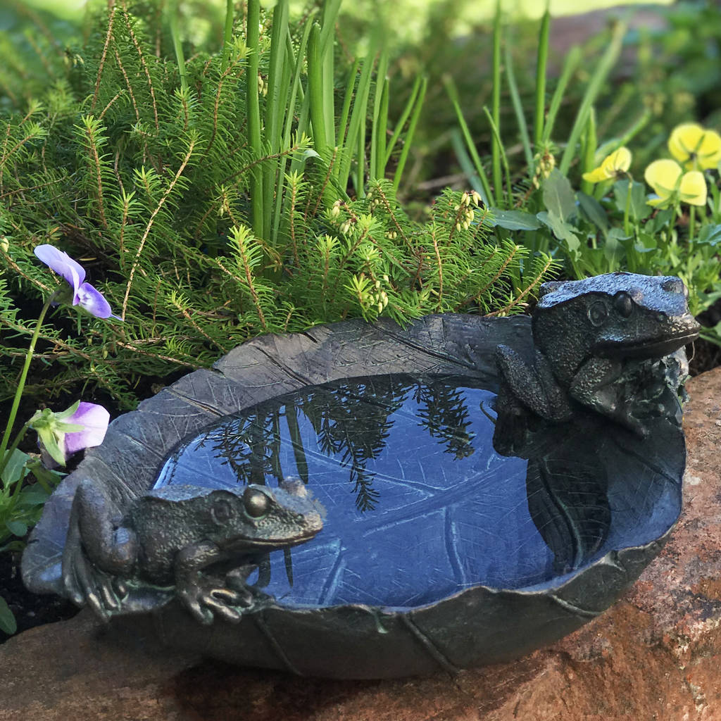 Frogs Bird Bath By Blackdown Lifestyle