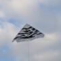 Zebra Kite, thumbnail 2 of 4