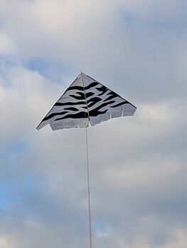 Zebra Kite, 2 of 4