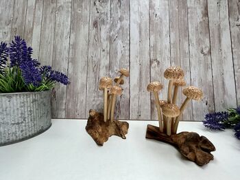 Assorted Wooden Mushroom Forest On Teak Root Wood, 4 of 12