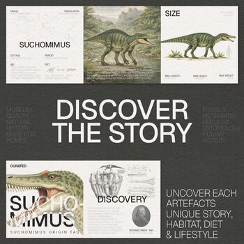 Suchomimus Skull Replica – Anatomically Accurate Dinosaur Model – Museum Quality Prehistoric Tabletop Decor 3D Printed Home Decoration, 4 of 5