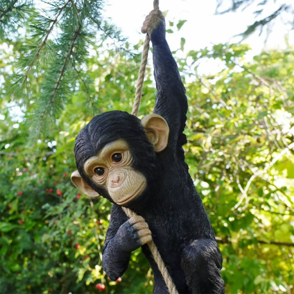 Garden Climbing Monkey Decoration By Dibor