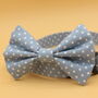 Light Blue Polkadot Dog Bow Tie, thumbnail 6 of 8