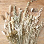 Wildflower Natural Cut Dried Flowers Letterbox Gift, thumbnail 4 of 9