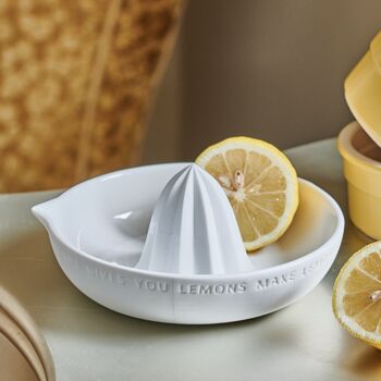 Porcelain Lemon Squeezer, 2 of 2