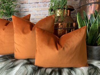 Copper Velvet Cushion, 3 of 10