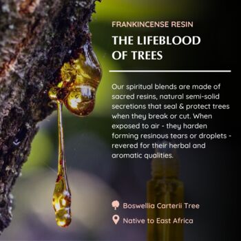 Frankincense Roll On, 6 of 7