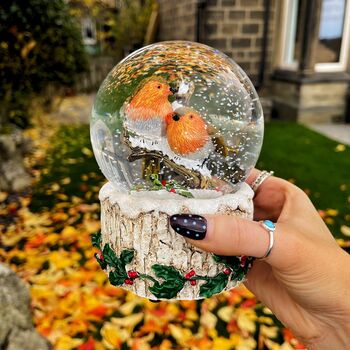 Christmas Robin Pair Musical Snowglobe, 3 of 5