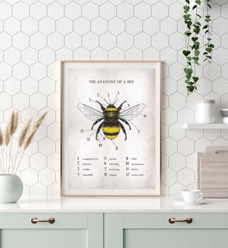 Anatomy Of A Bee Print, 11 of 11
