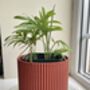 3D Printed Corrugated Plant Pot – Strong And Lightweight, thumbnail 6 of 9