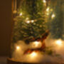 Christmas Terrarium Kit, Glass Dome With Fairy Lights, thumbnail 7 of 8