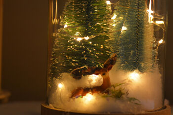 Christmas Terrarium Kit, Glass Dome With Fairy Lights, 7 of 8