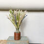 Lavender Bunny Tail Dried Flower Posy Saneco, thumbnail 5 of 7