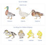 Personalised Panoramic Duck Family Print, thumbnail 4 of 6