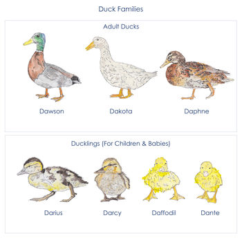 Personalised Panoramic Duck Family Print, 4 of 6